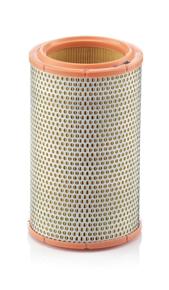 C1387 Mann-Filter