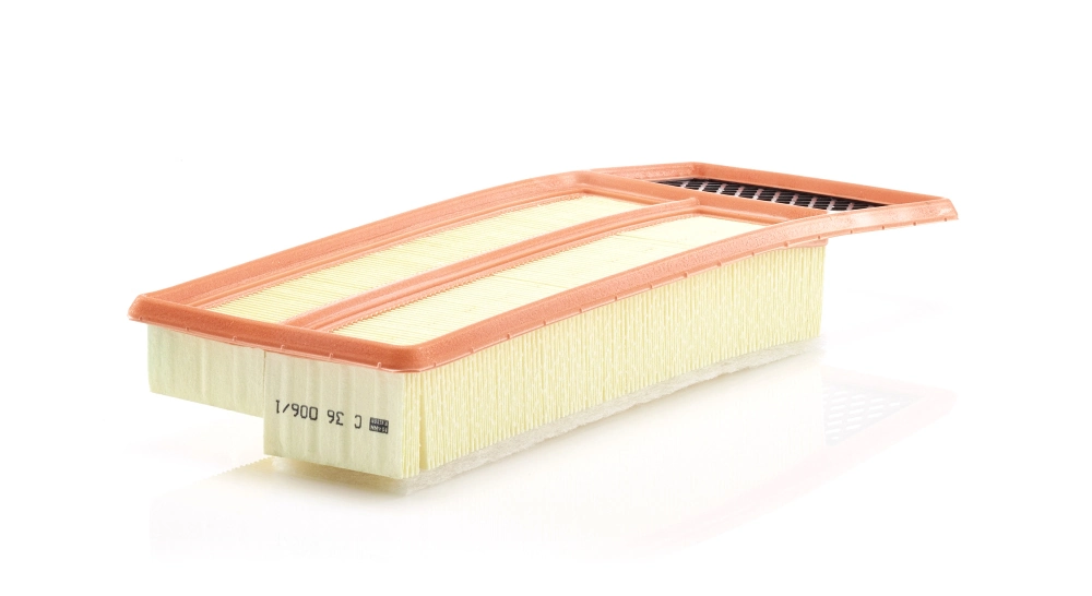 C360061 Mann-Filter