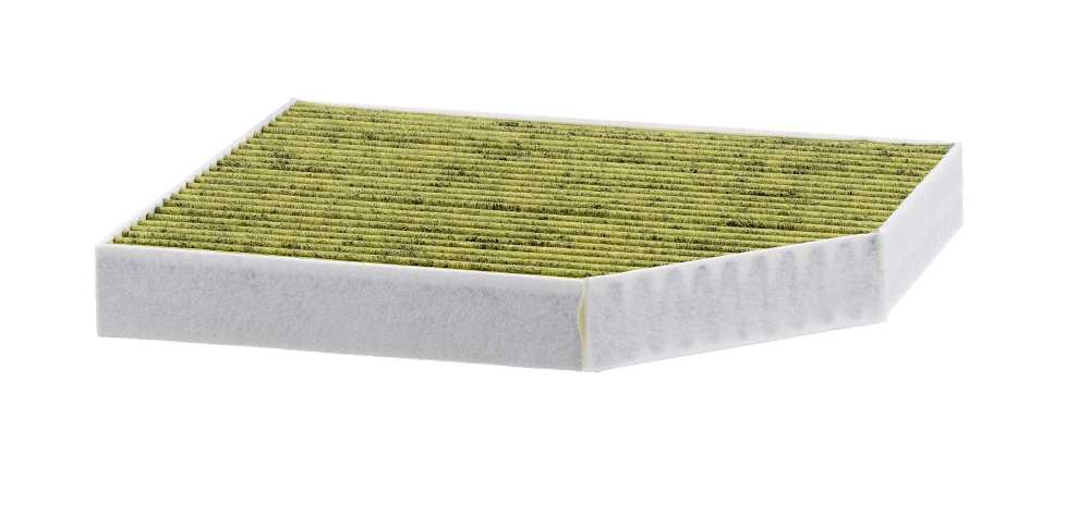 FP2450 Mann-Filter