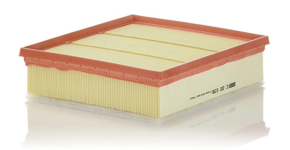 C22039 Mann-Filter