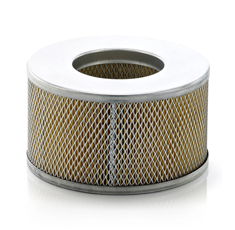 C22013 Mann-Filter