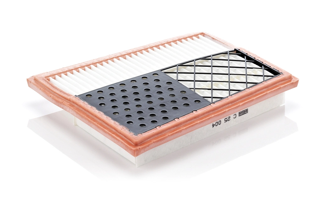 C25004 Mann-Filter