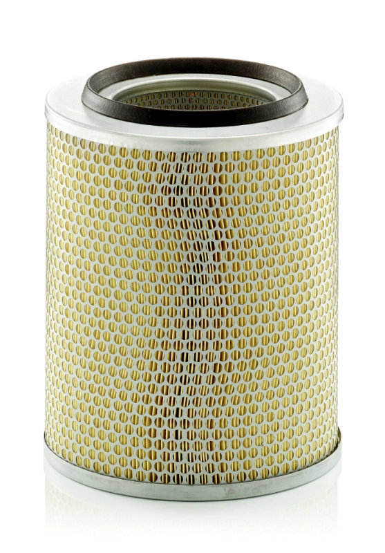 C24393 Mann-Filter