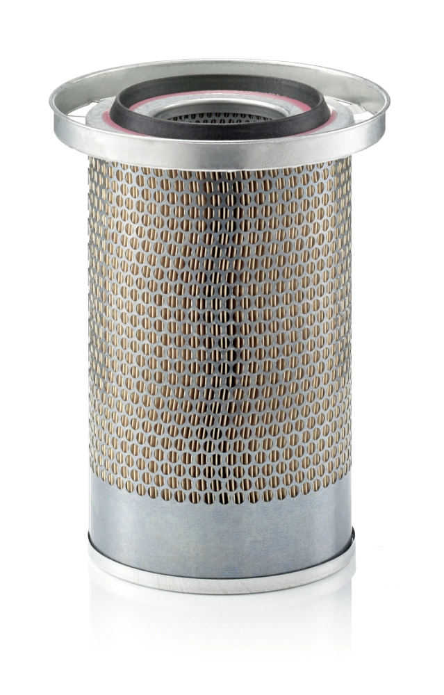 C19384 Mann-Filter