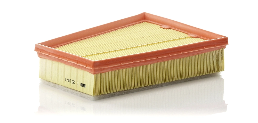 C25101 Mann-Filter