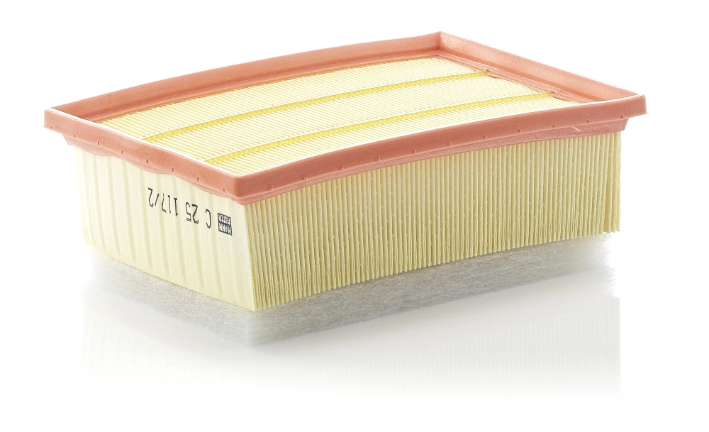 C251172 Mann-Filter