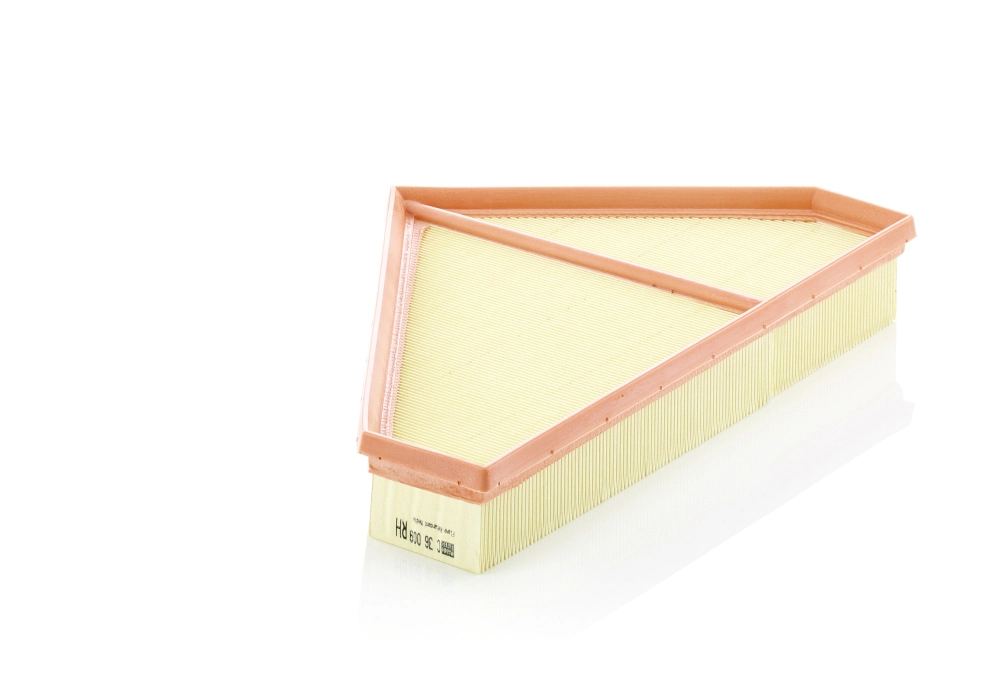 C36009 Mann-Filter