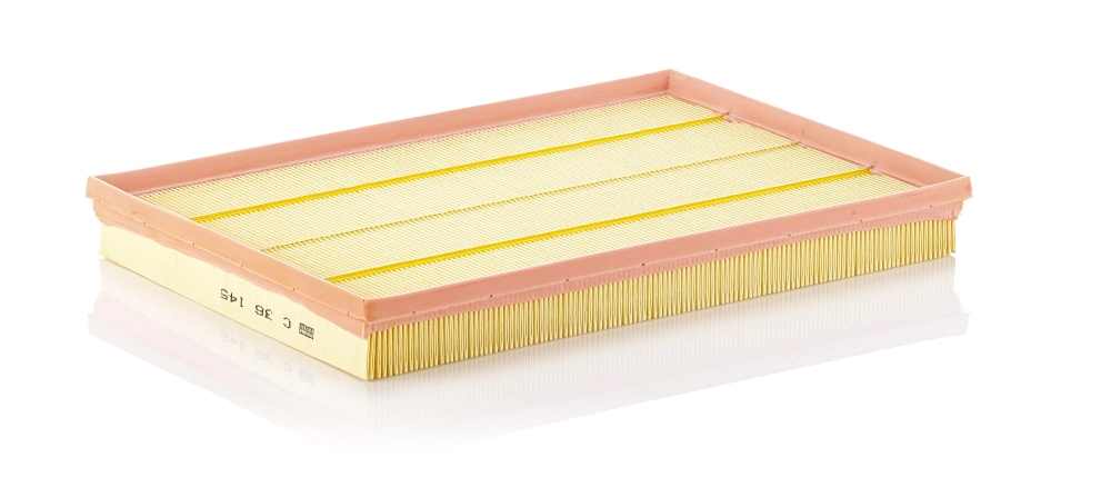C36145 Mann-Filter