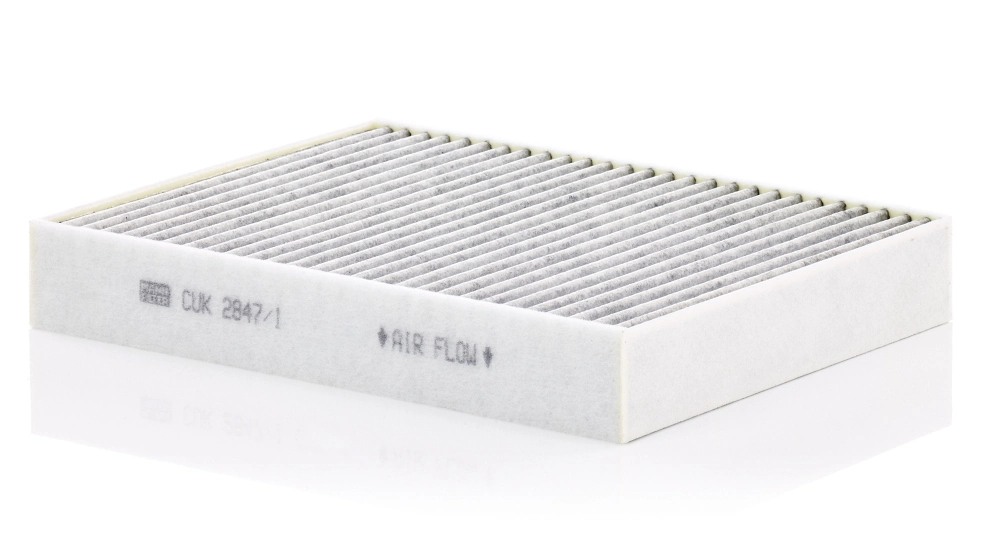 Comprar Filtro de habitáculo Porsche Cayenne II 92A a bajo precio