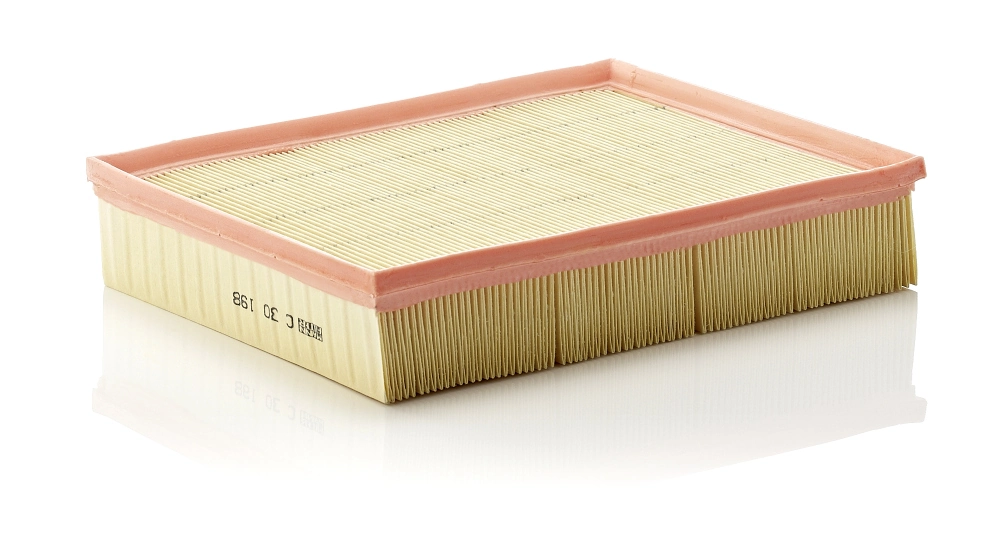 C30198 Mann-Filter