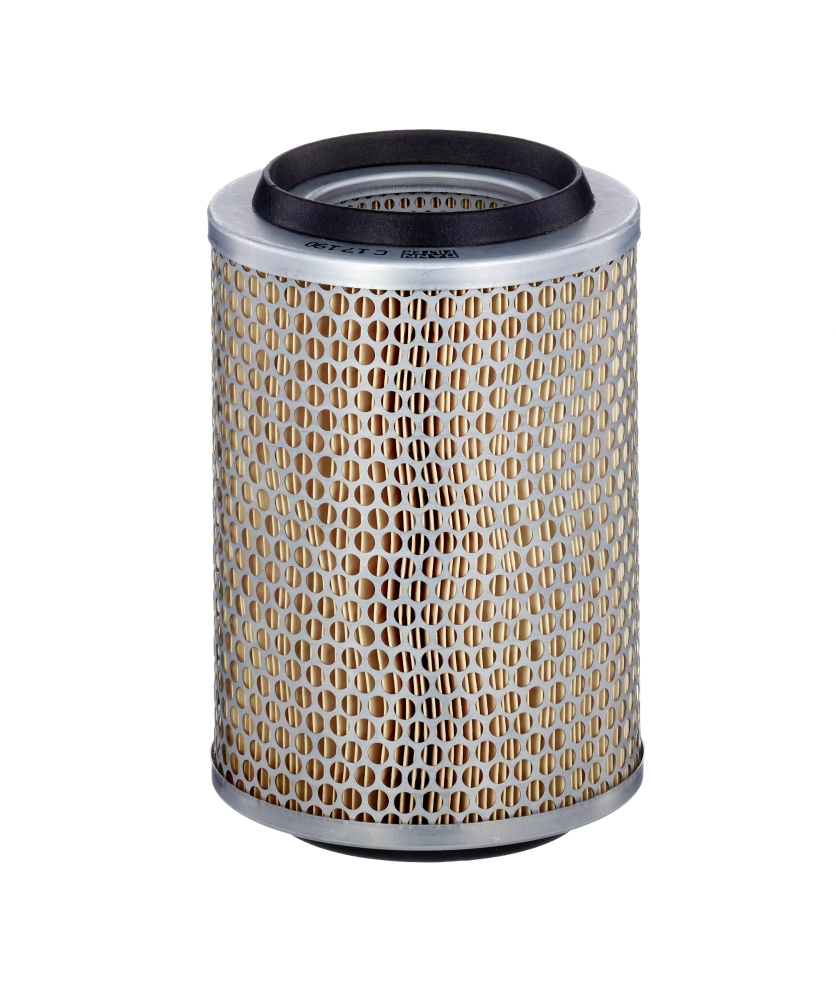 C17190 Mann-Filter