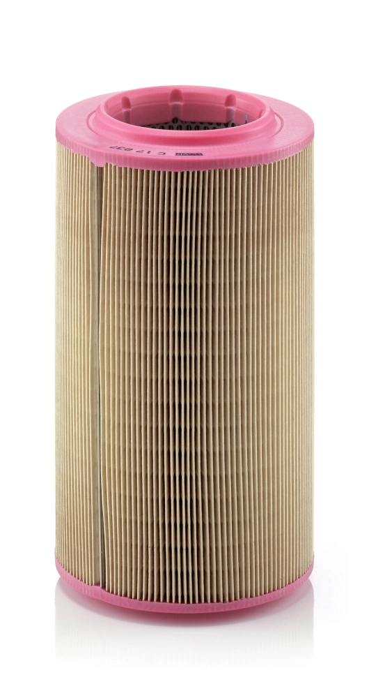 C17237 Mann-Filter