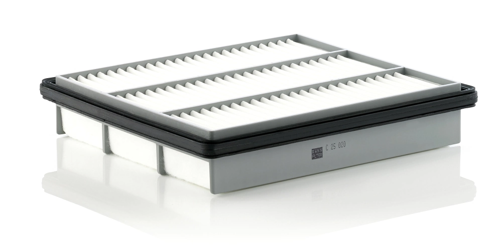 C25020 Mann-Filter