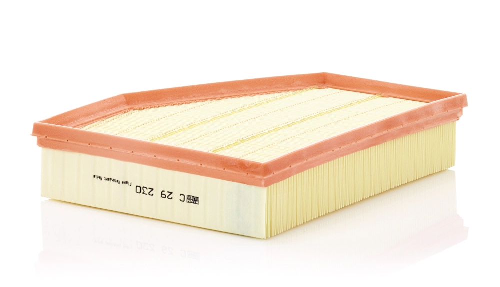 C29230 Mann-Filter