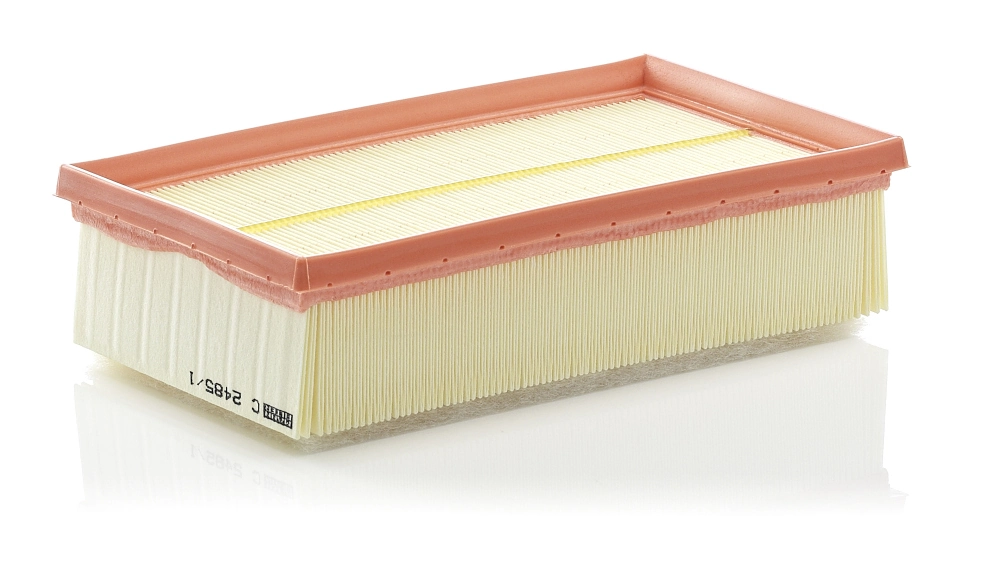 C24851 Mann-Filter