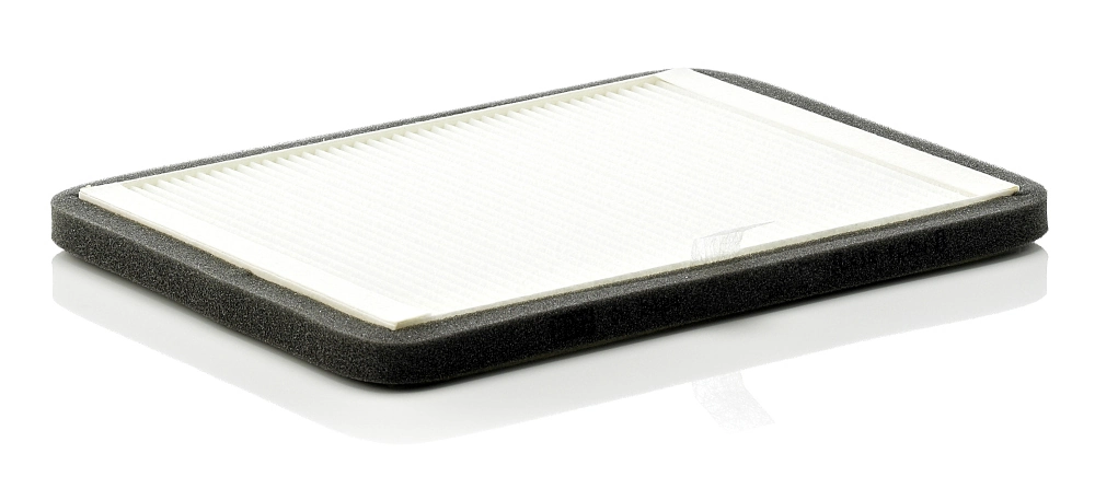 CUK2424 Mann-Filter