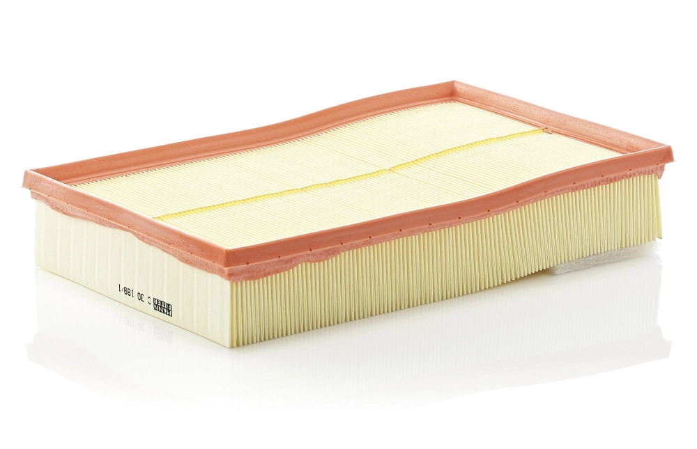C301891 Mann-Filter