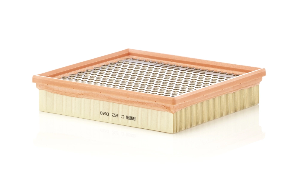 Filtro de aire MANN C22029