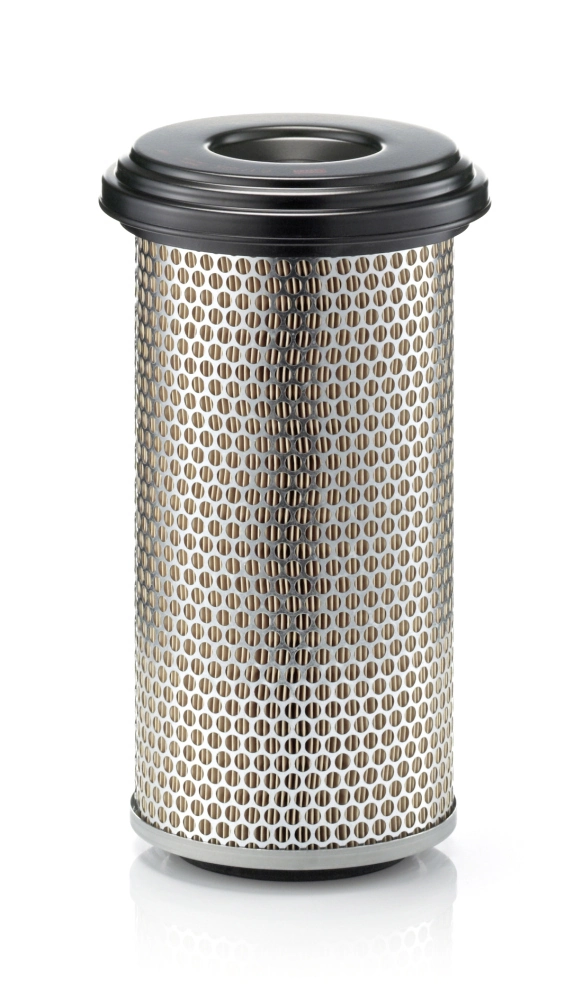 C17225 Mann-Filter