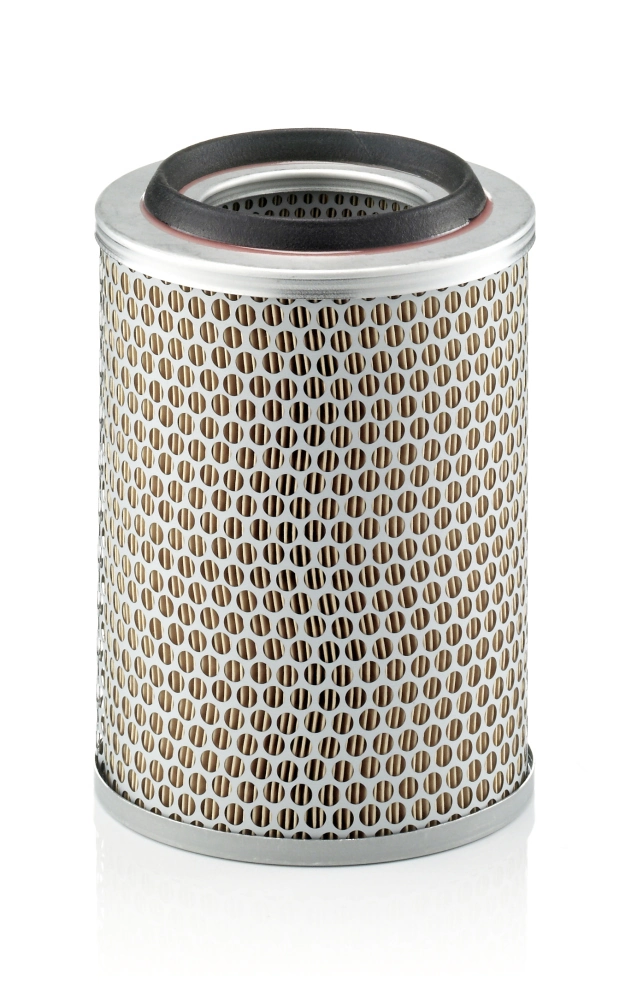 C17217 Mann-Filter