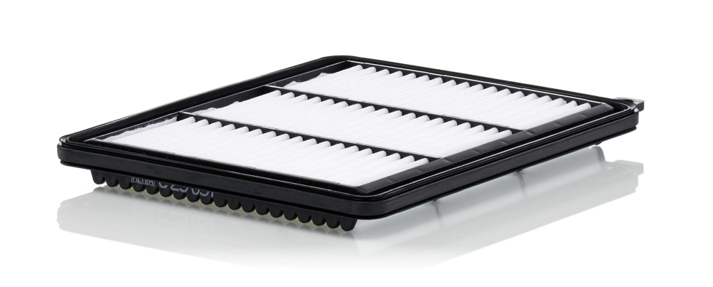 C25051 Mann-Filter