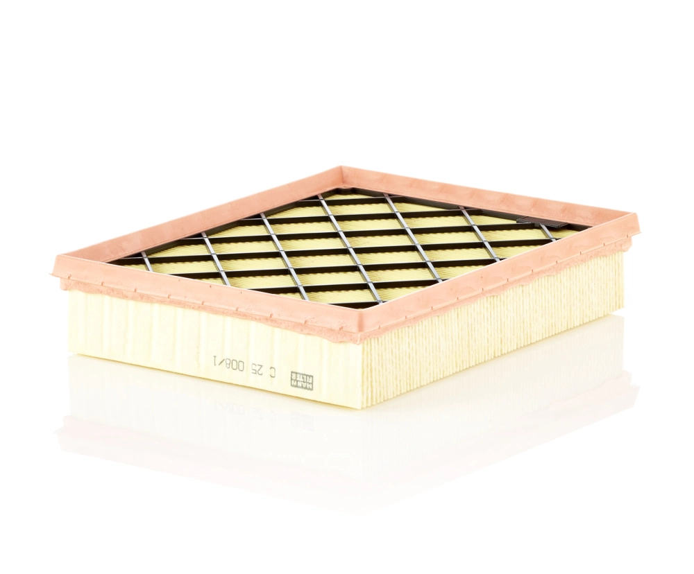 C250081 Mann-Filter