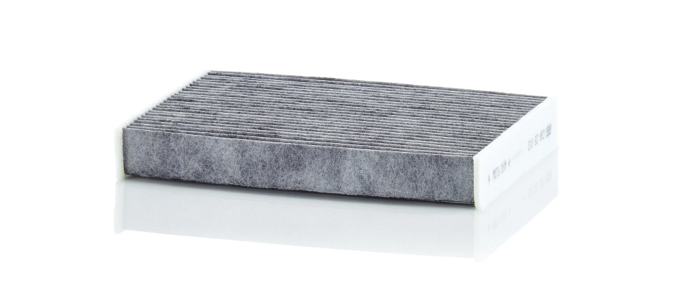 CUK25012 Mann-Filter