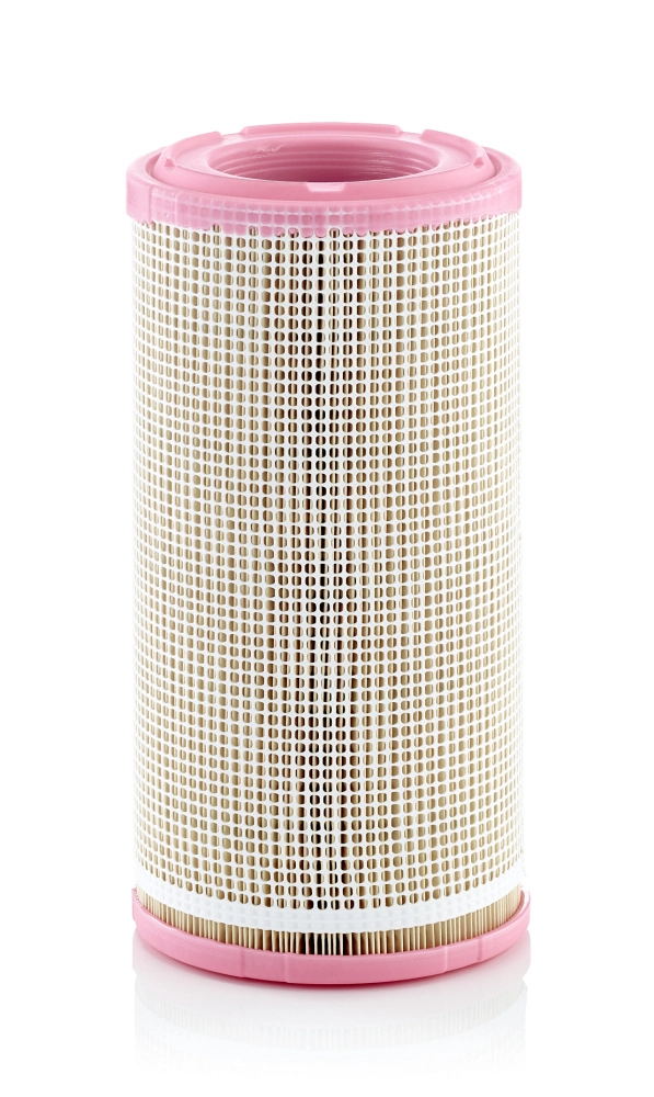C173402 Mann-Filter