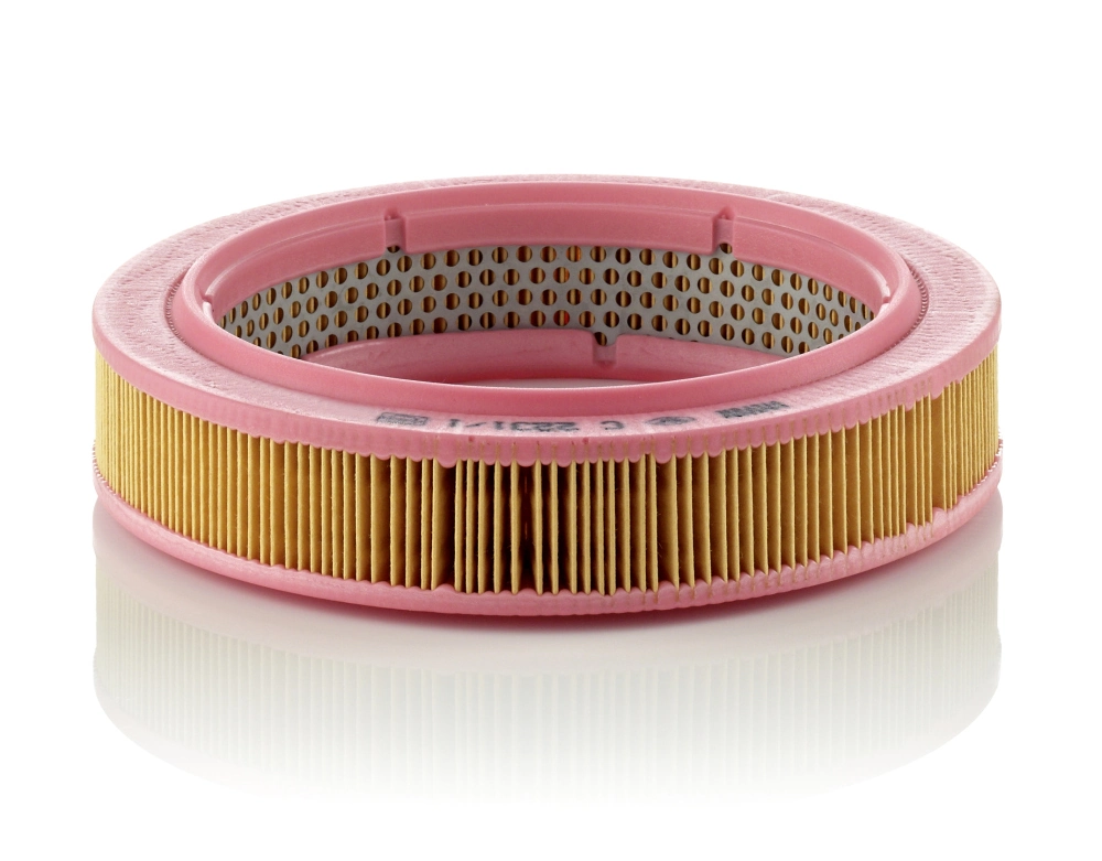 C22311 Mann-Filter