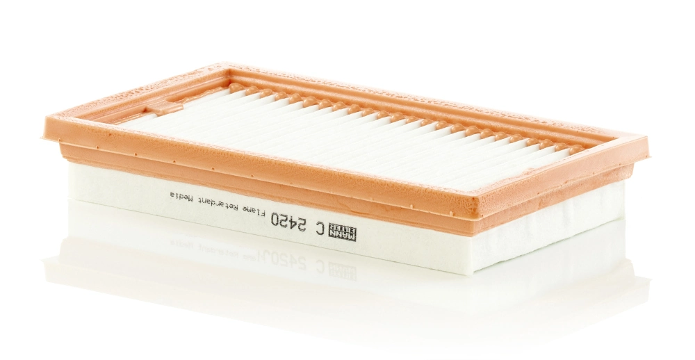 C2420 Mann-Filter