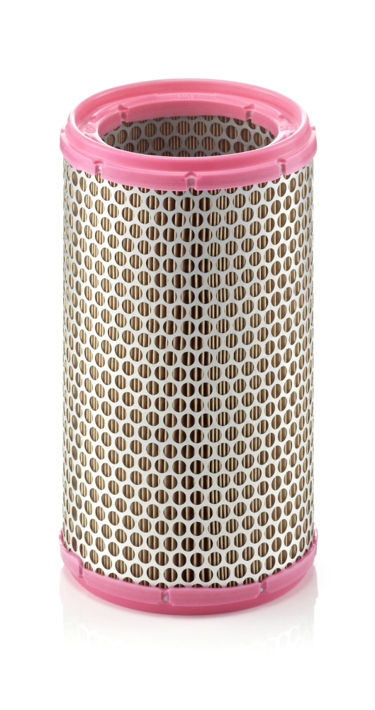 C15893 Mann-Filter