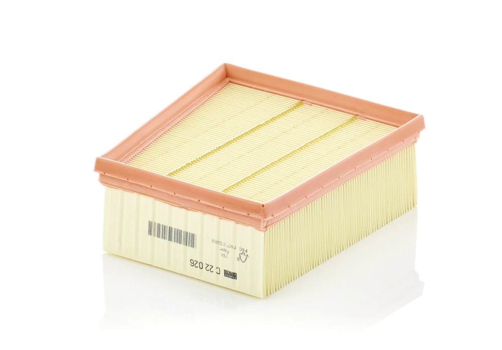 C22026 Mann-Filter