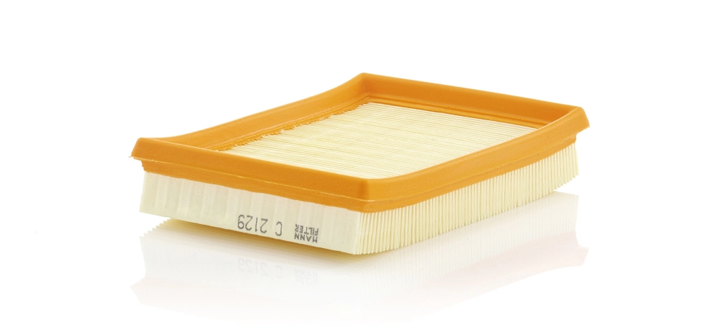 C2129 Mann-Filter