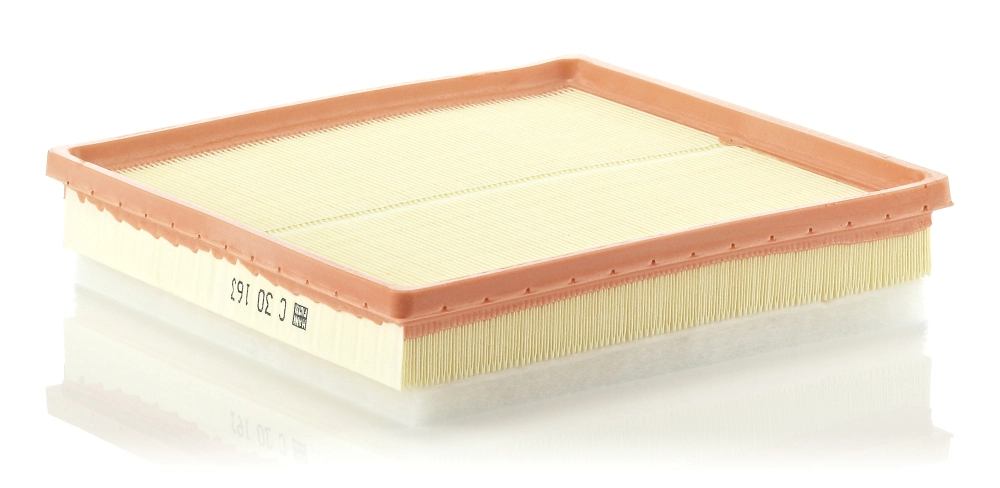 C30163 Mann-Filter