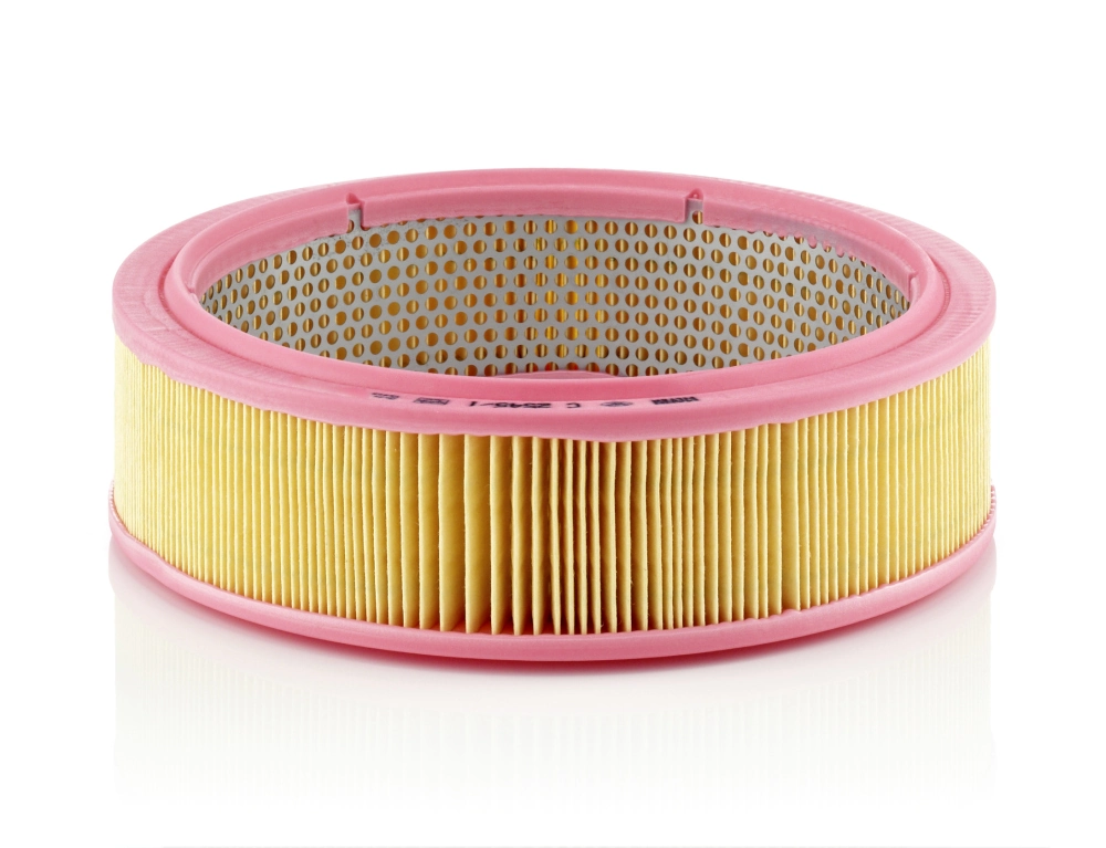 C25451 Mann-Filter