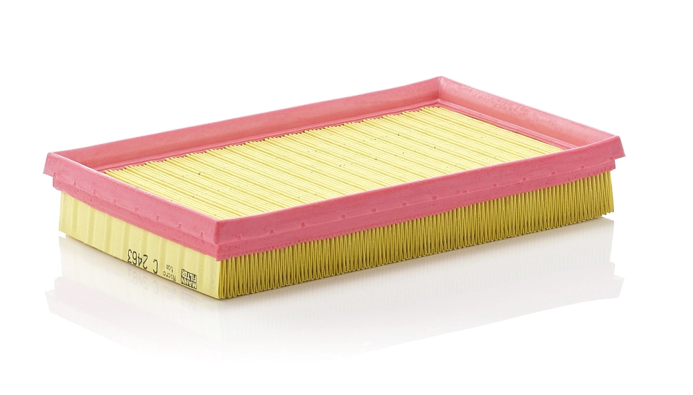 C2463 Mann-Filter