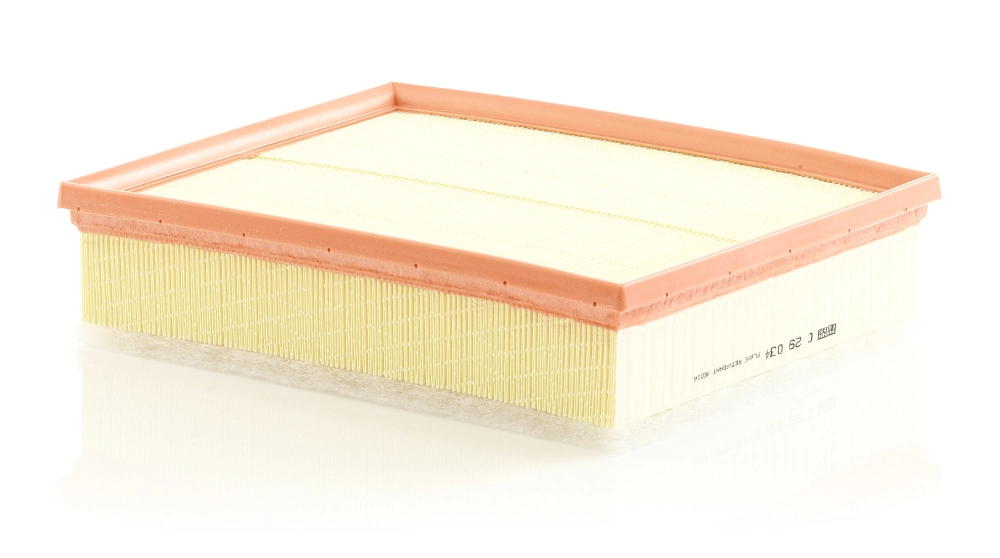 C29034 Mann-Filter