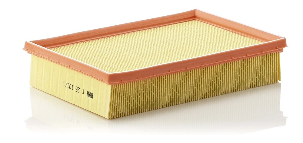 C251011 Mann-Filter
