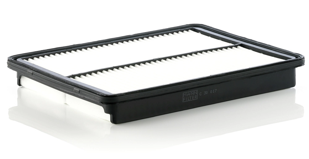 C30017 Mann-Filter