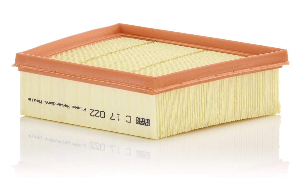 C17022 Mann-Filter