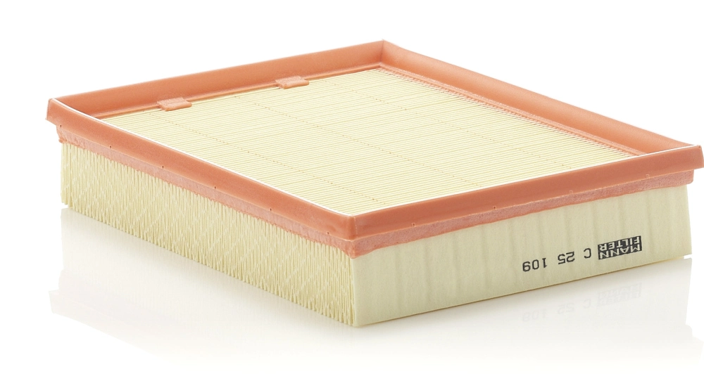C25109 Mann-Filter