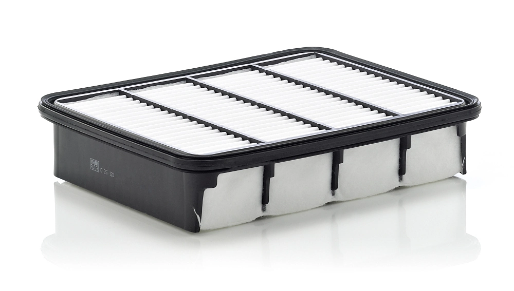 Filtro de aire Mitsubishi Galant 8 EA