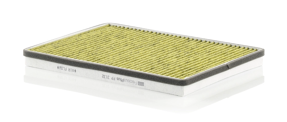 Filtro de polen DAF 105 XF