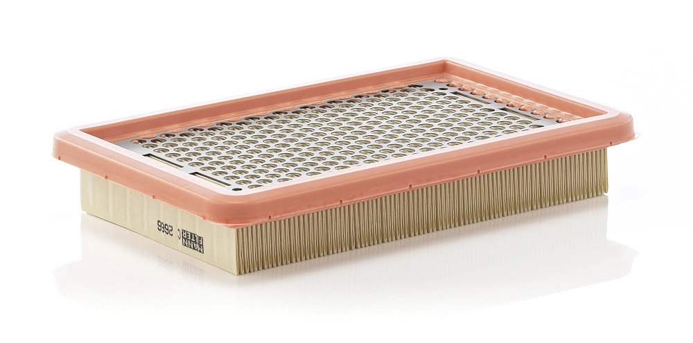 C2666 Mann-Filter