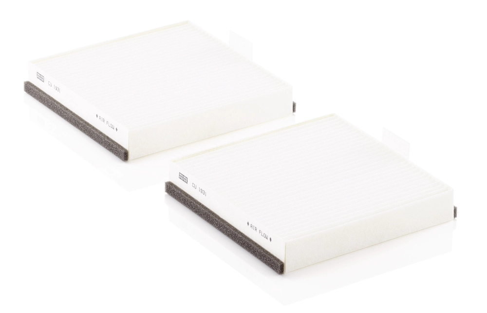 Filtro de cabina Delphi E354 precio, desde 13,98 EUR