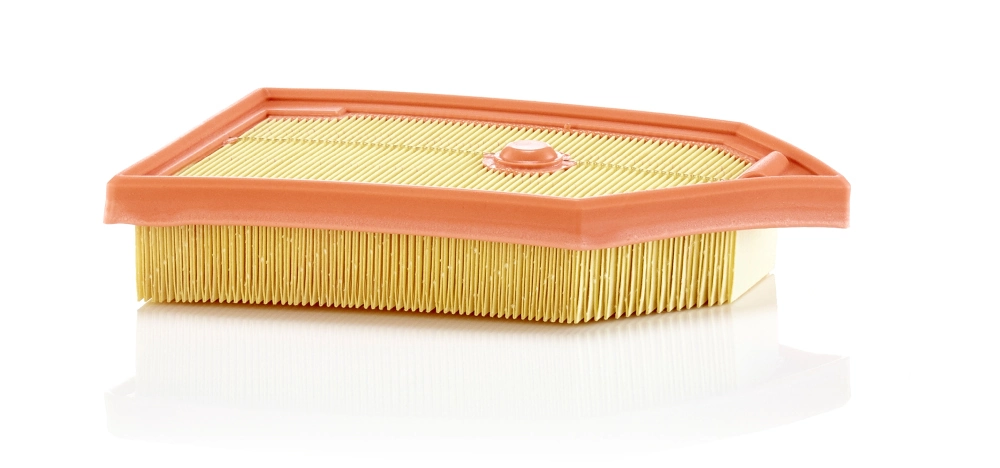 C26040 Mann-Filter