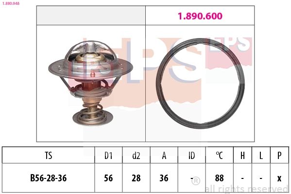 Termostato Kamoka 7710132 precio, desde 11,27 EUR