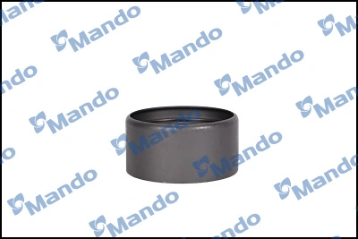 Comprar DG3060312RR1 Koyo Polea correa distribución