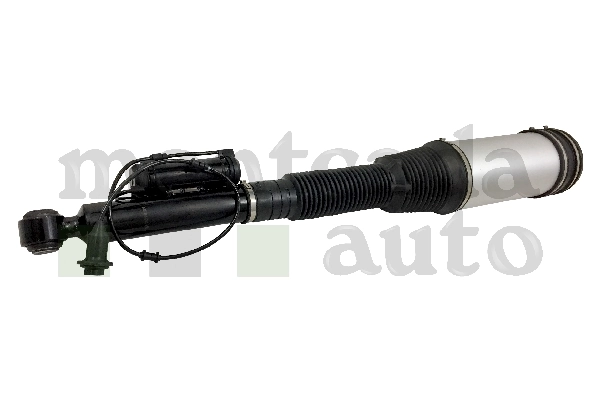Amortiguador trasero REC34AS0017 Amity AP