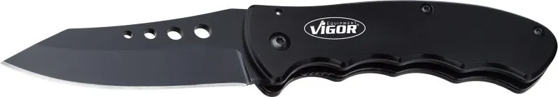 V4651 Vignal